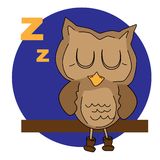 sleeping owl